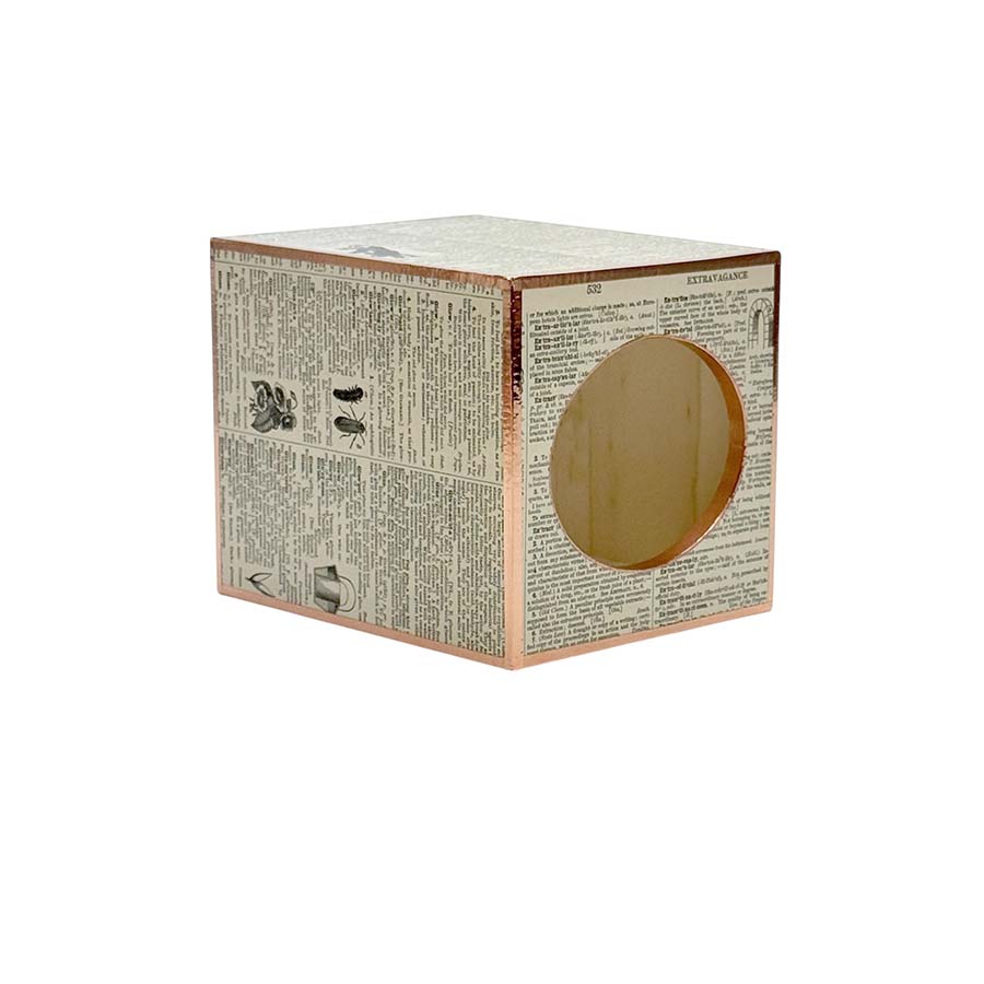 Tissue Box - Webster's 1848 Illustrated Dictionary - Image 2