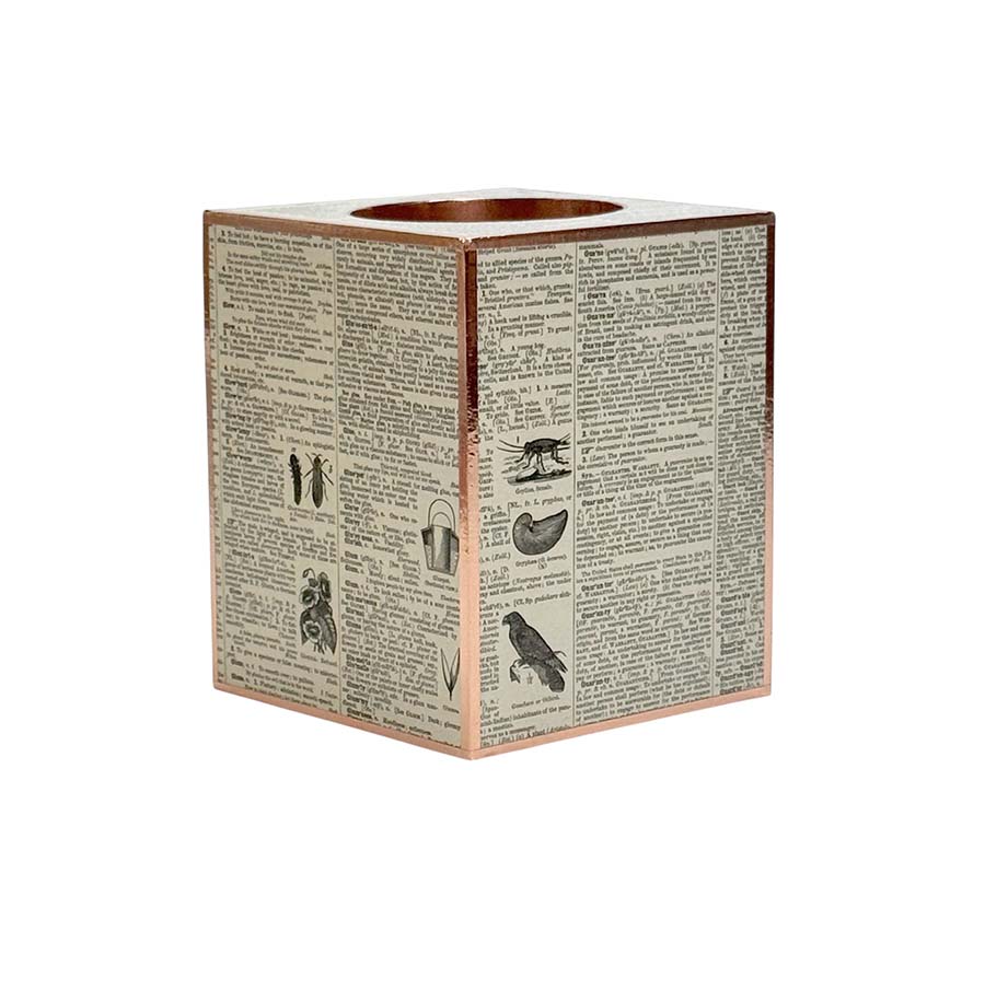 Tissue Box - Webster's 1848 Illustrated Dictionary